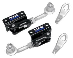 Reese - Reese Dual Cam HP™ Sway Control
