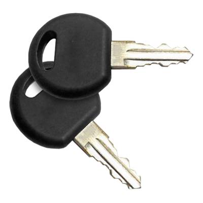 CURT - CURT Replacement Keys for 18088 Aluminum Bike Rack (203 Lock Cylinder)
