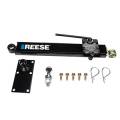 Reese Friction Sway Control